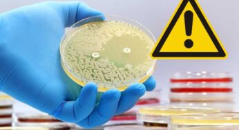 Contaminazione grave anche in Piemonte: l’indagine evidenzia un dato sconvolgente