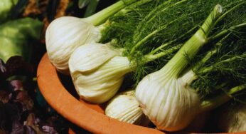 Finocchi, tanti modi di cucinarli: ecco le ricette più particolari